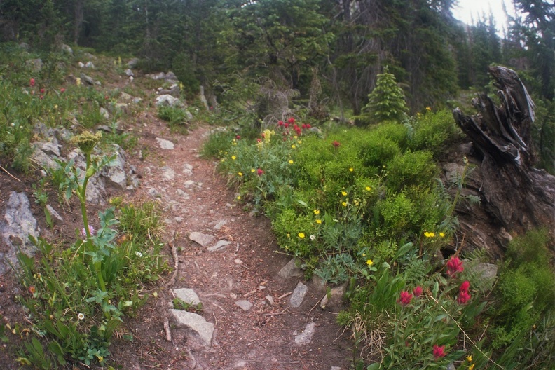 Baker Gulch Trail 1.jpg